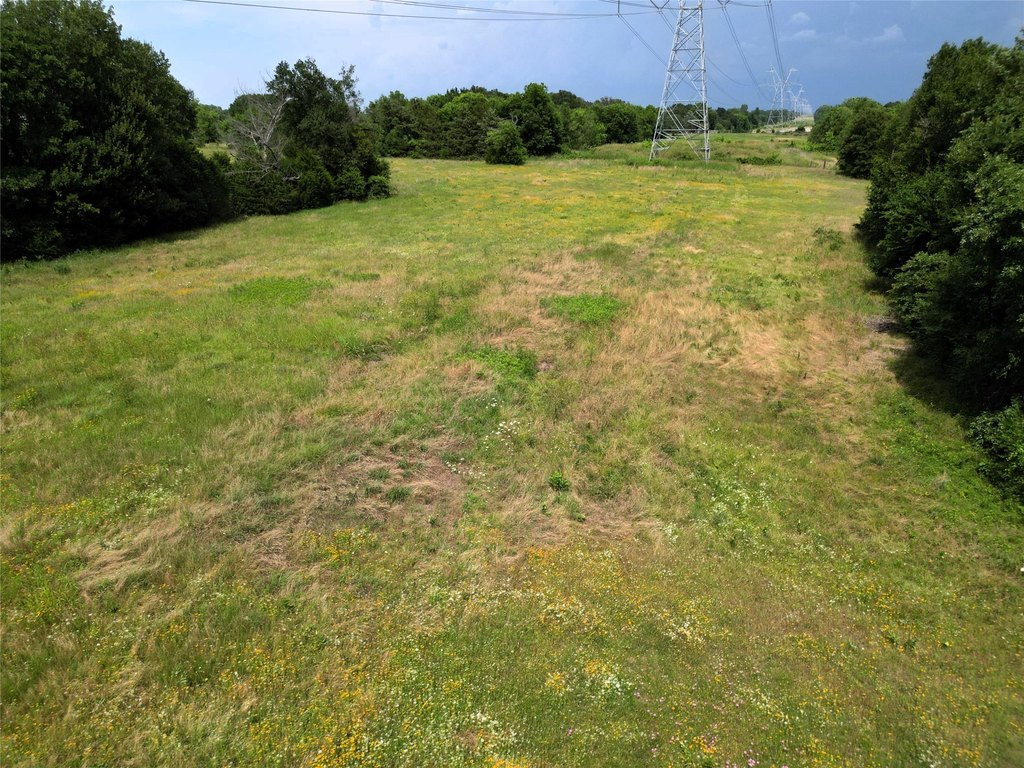Picture 10