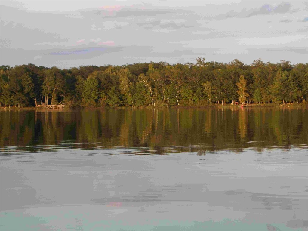 Picture 19