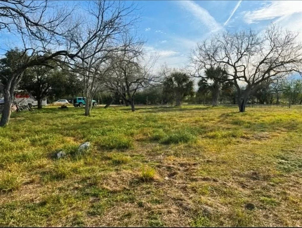 Picture 3
