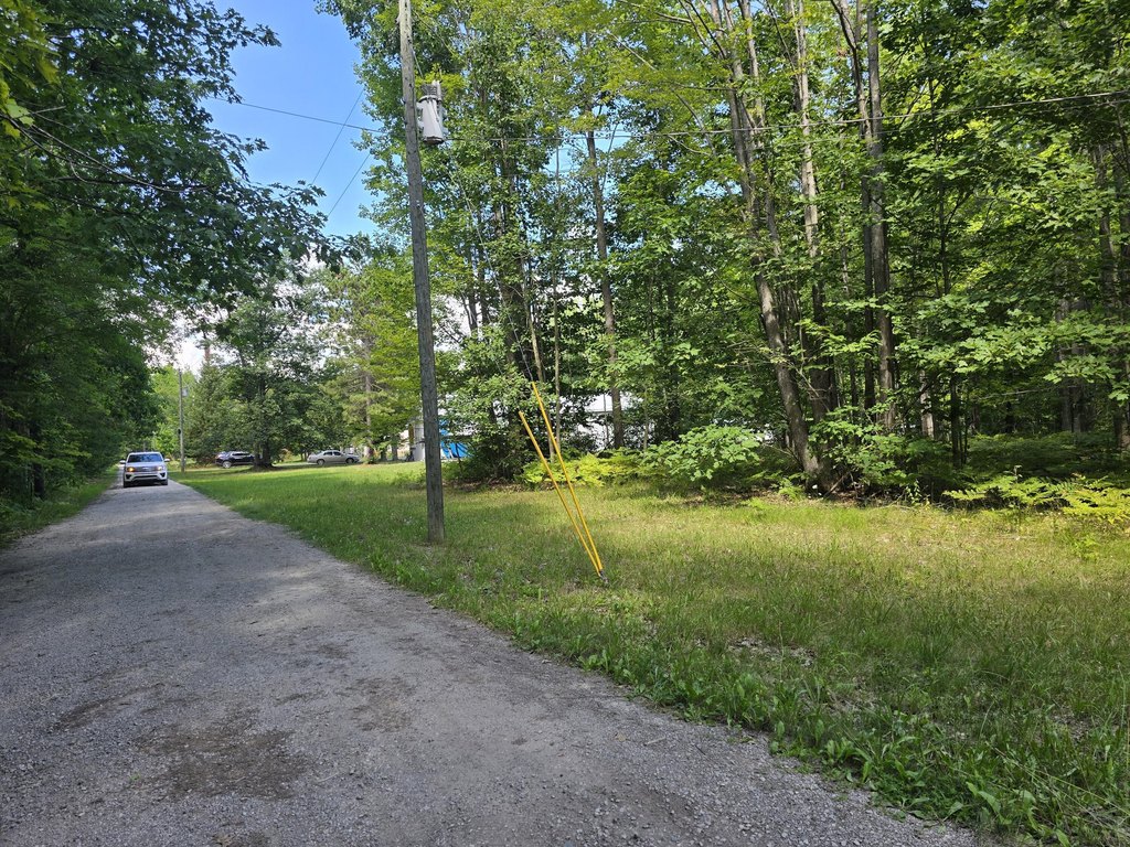 Picture 15