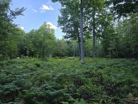 Land, Cheboygan, MI