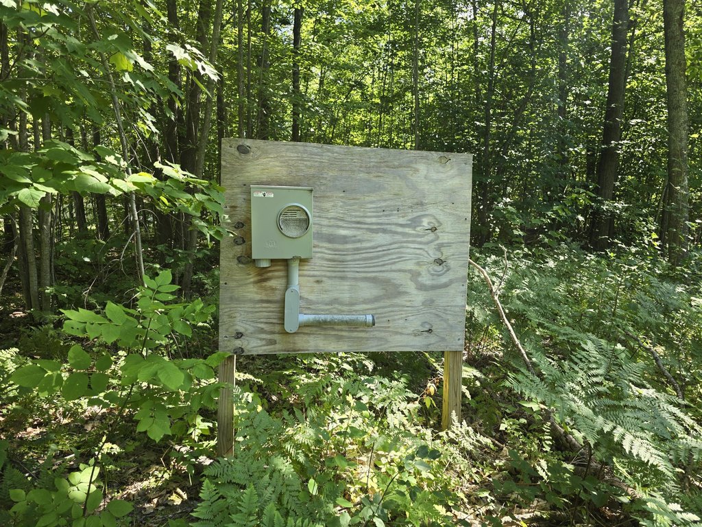 Picture 10