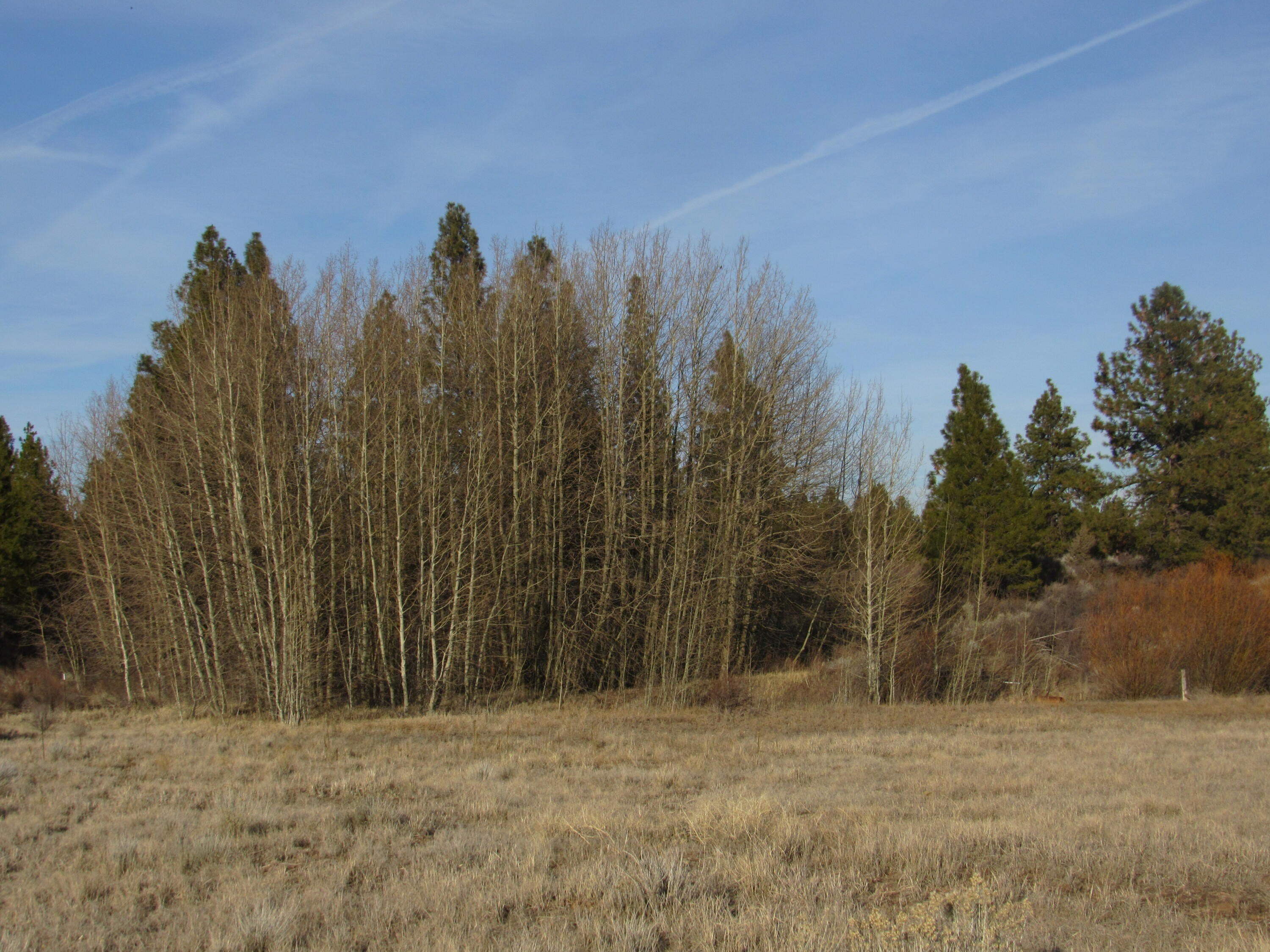 Large Lot Near Agency Lake