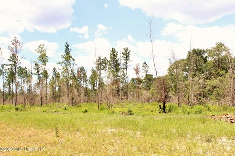Lucedale Land in Growing Area