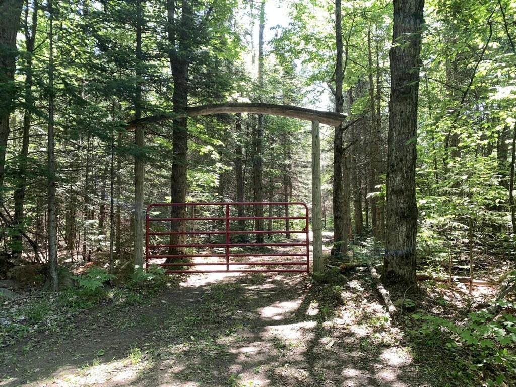 Picture 4