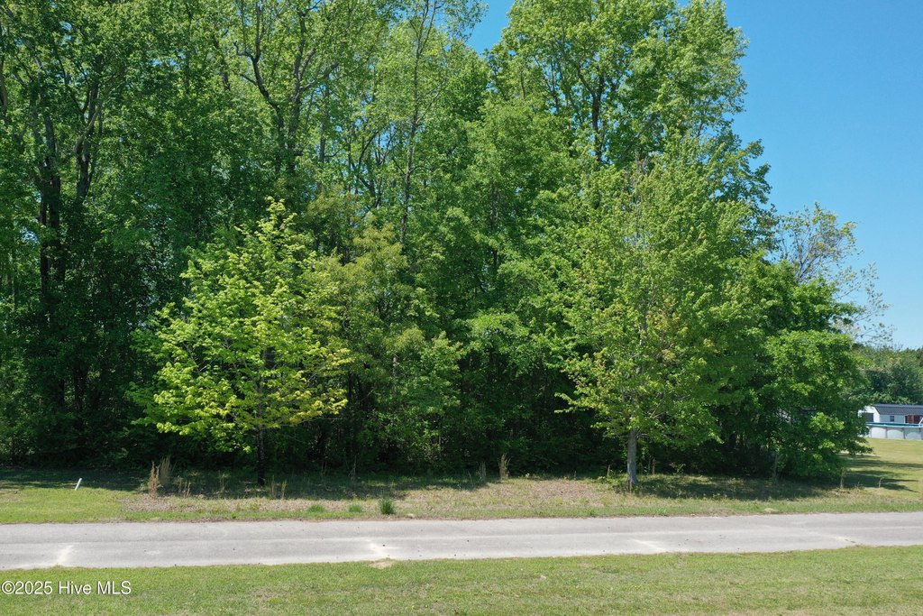 Picture 12