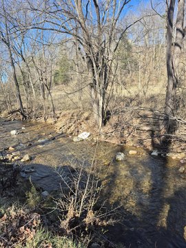 34+ Acres Near National Forest