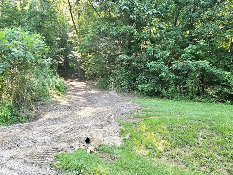 LAND - Rogersville, TN