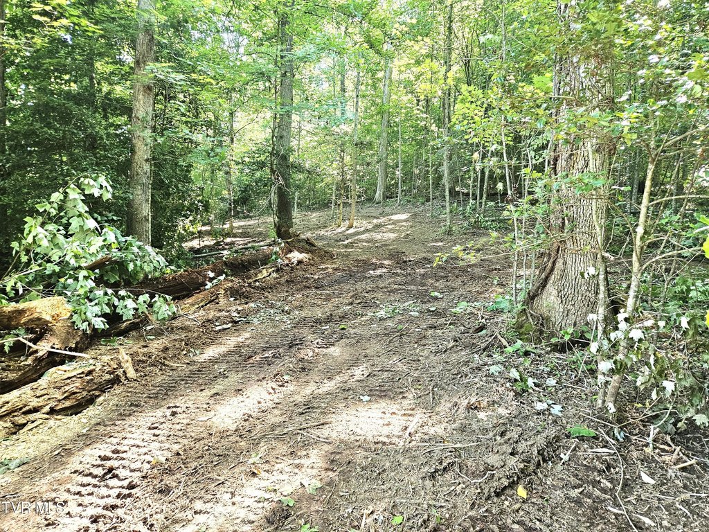 Picture 4