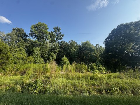LAND - Cottageville, SC