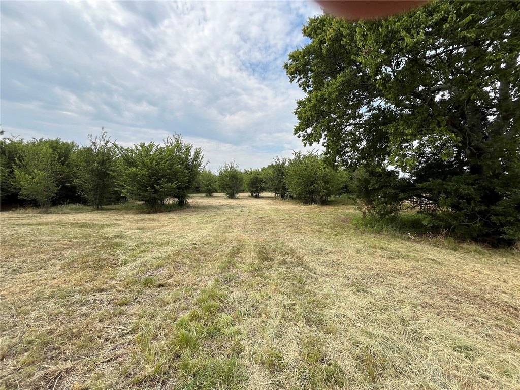 Picture 25