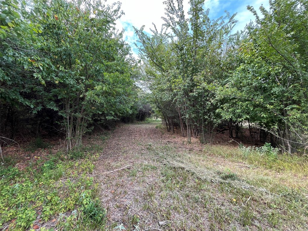 Picture 18