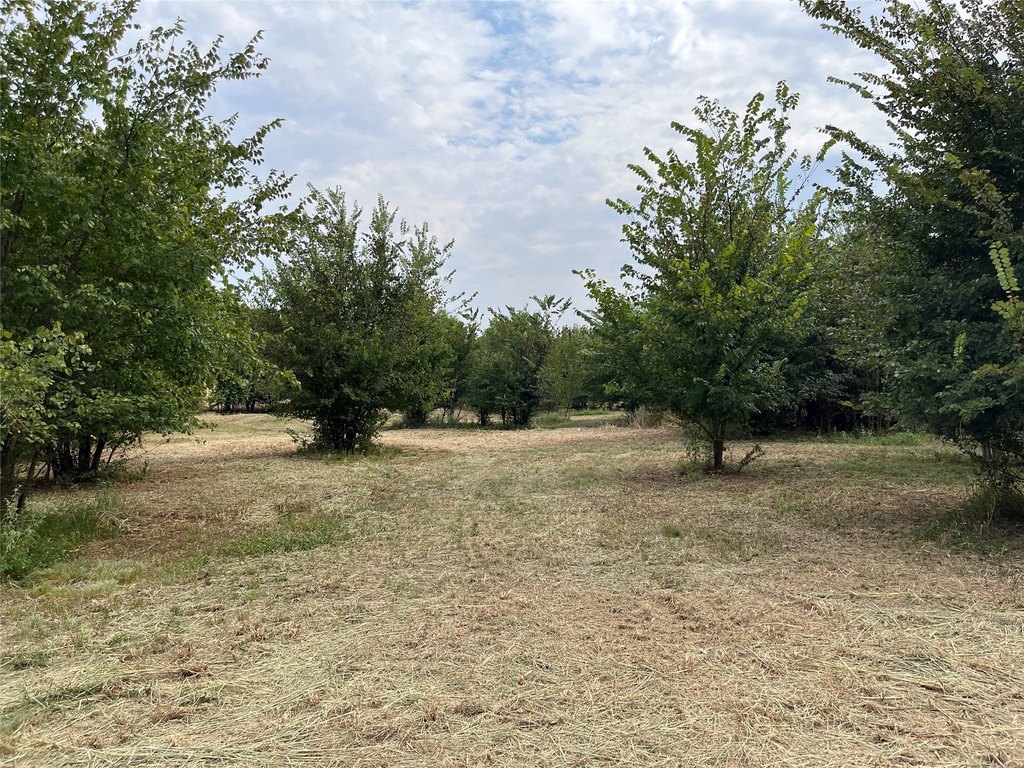 Picture 16