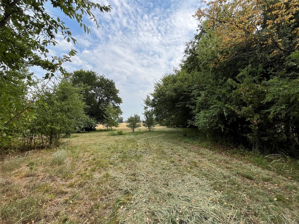 Picture 21