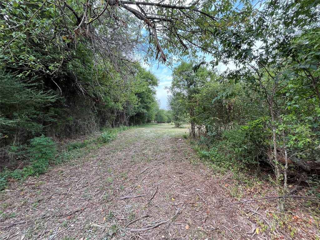 Picture 22