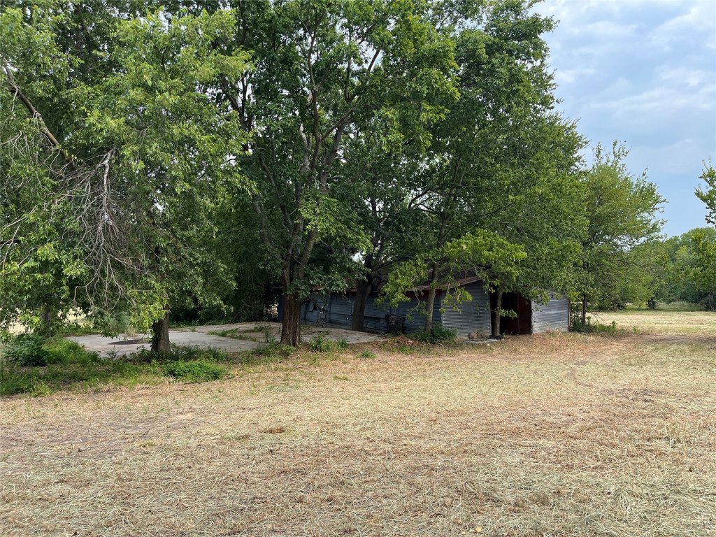 Picture 11