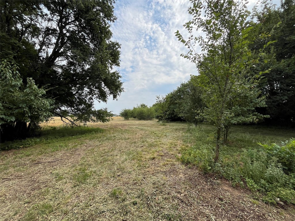 Picture 23