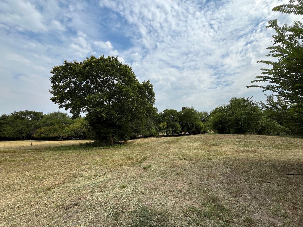 Picture 17