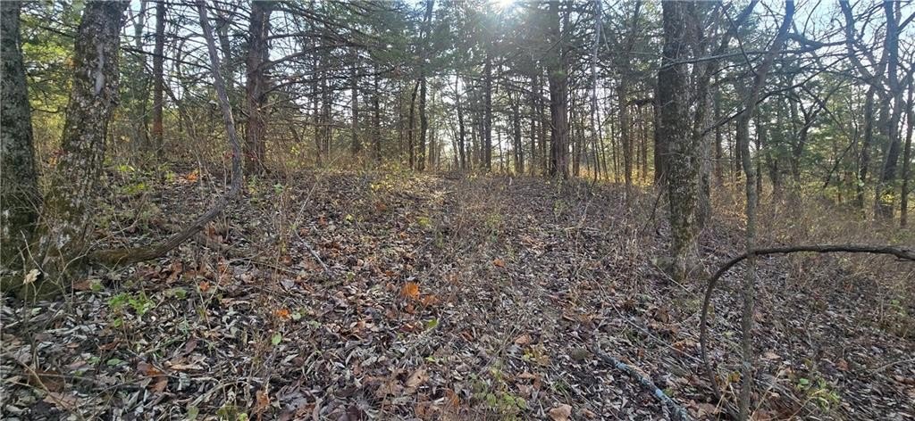 Secluded Hunting and Recreation Land