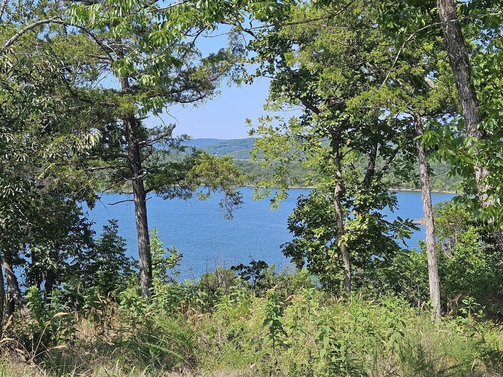 Picture 5