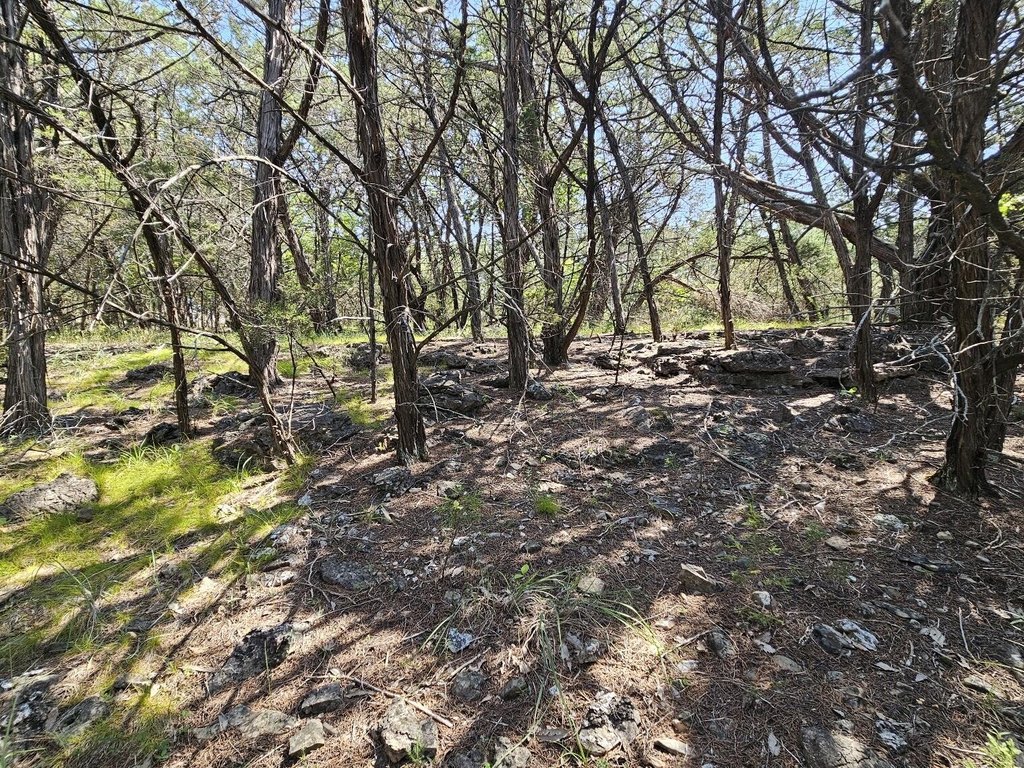 Picture 21