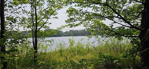 318 Acres with Lake Frontage