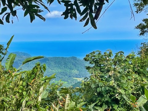 Hillside Ocean View Development Land