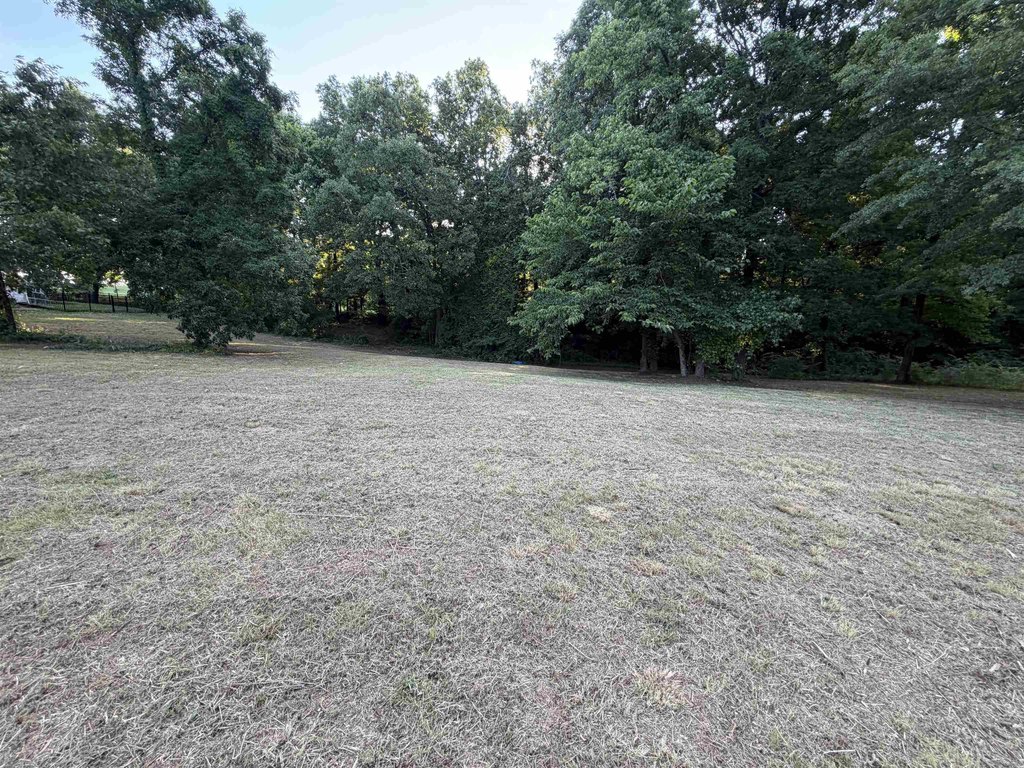 Picture 7