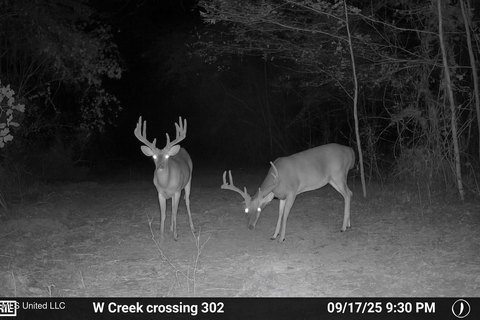 Hermanville Land with Hunting Potential