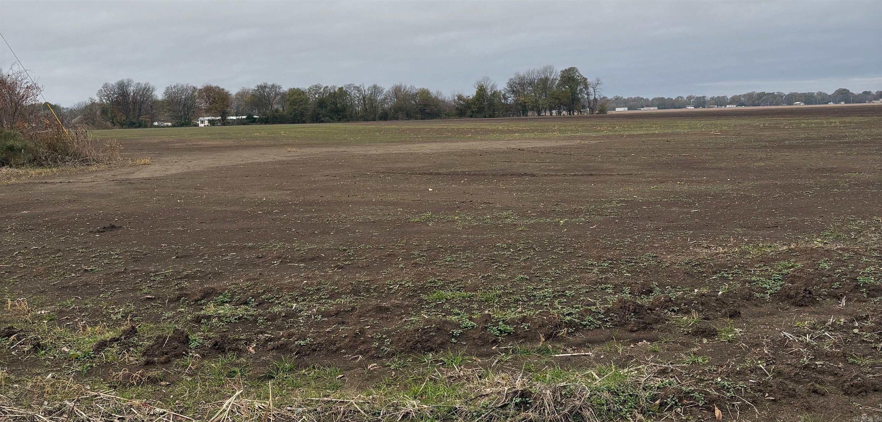 Land Near Lake Chicot