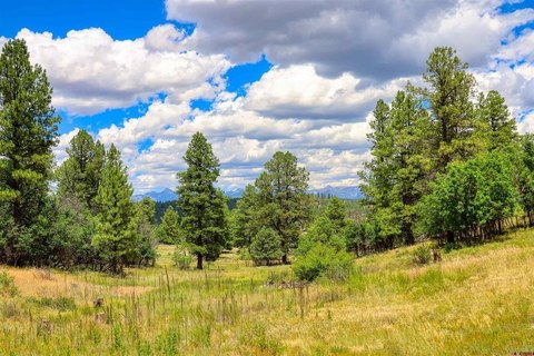 LAND - Pagosa Springs, CO