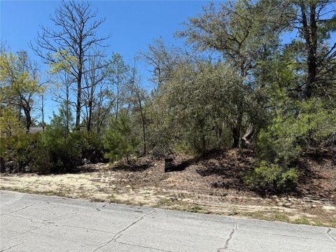 Residential Building Lot