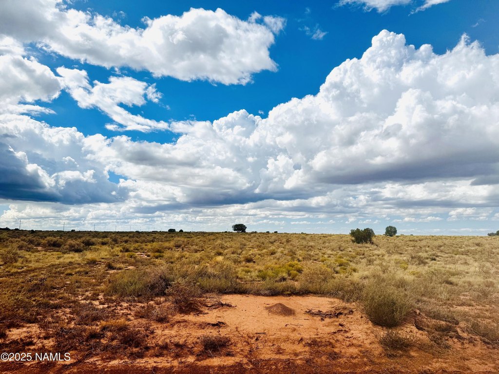Picture 23
