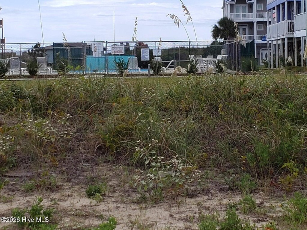 Picture 41