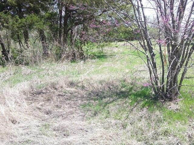 Picture 11