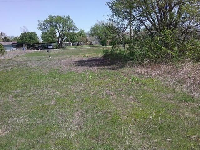 Picture 8