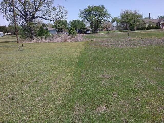 Picture 6