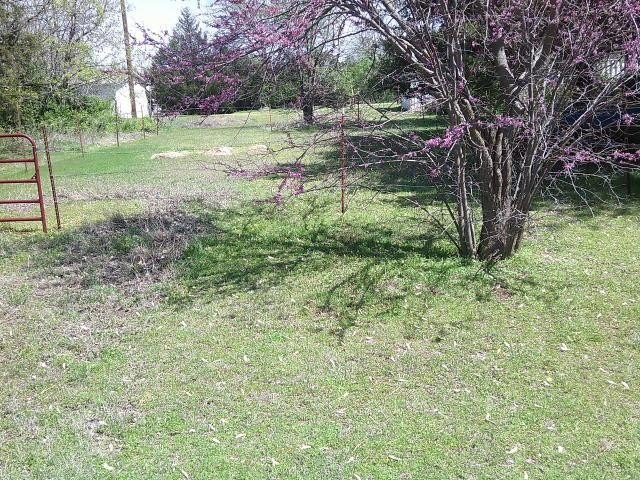 Picture 9
