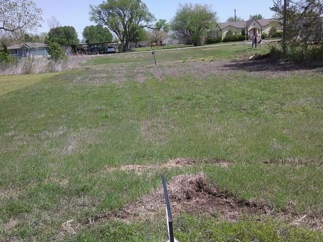 Picture 7