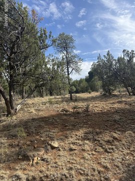 LAND - Heber, AZ
