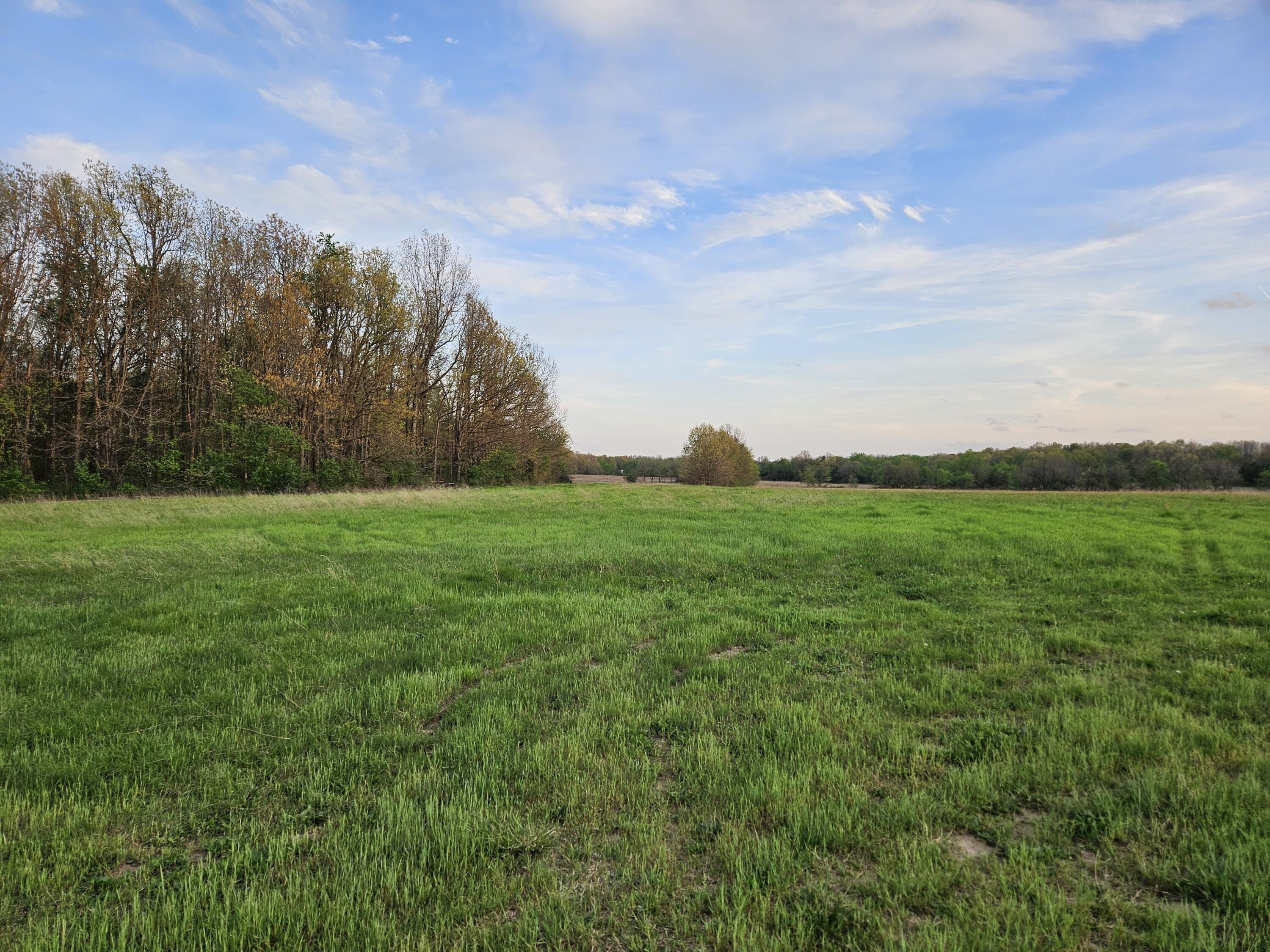 Wooded Land Near Monett, MO