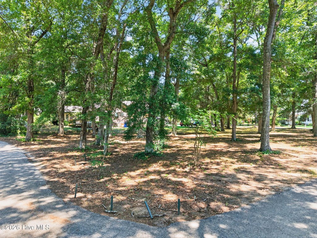 Picture 18
