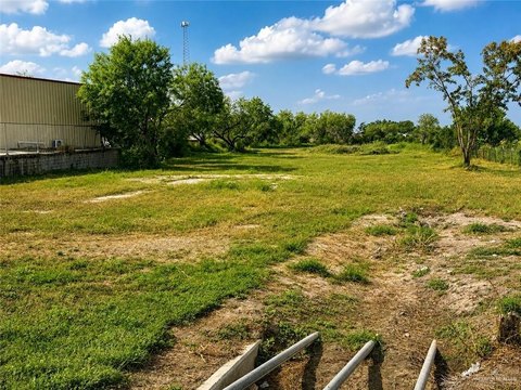 LAND - Sullivan City, TX