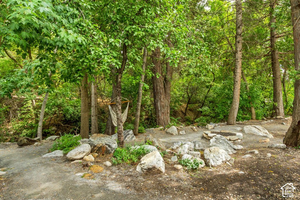 Picture 17