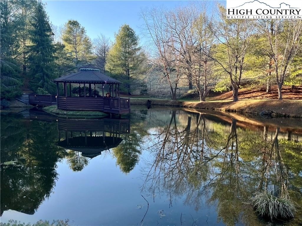 Picture 31