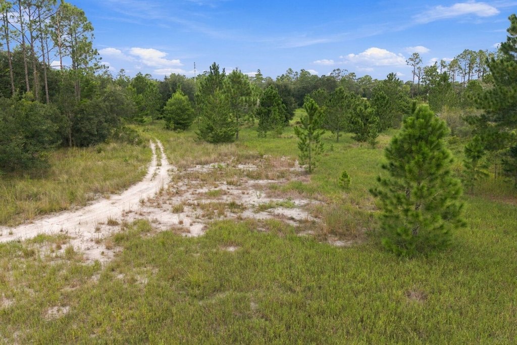 Picture 22