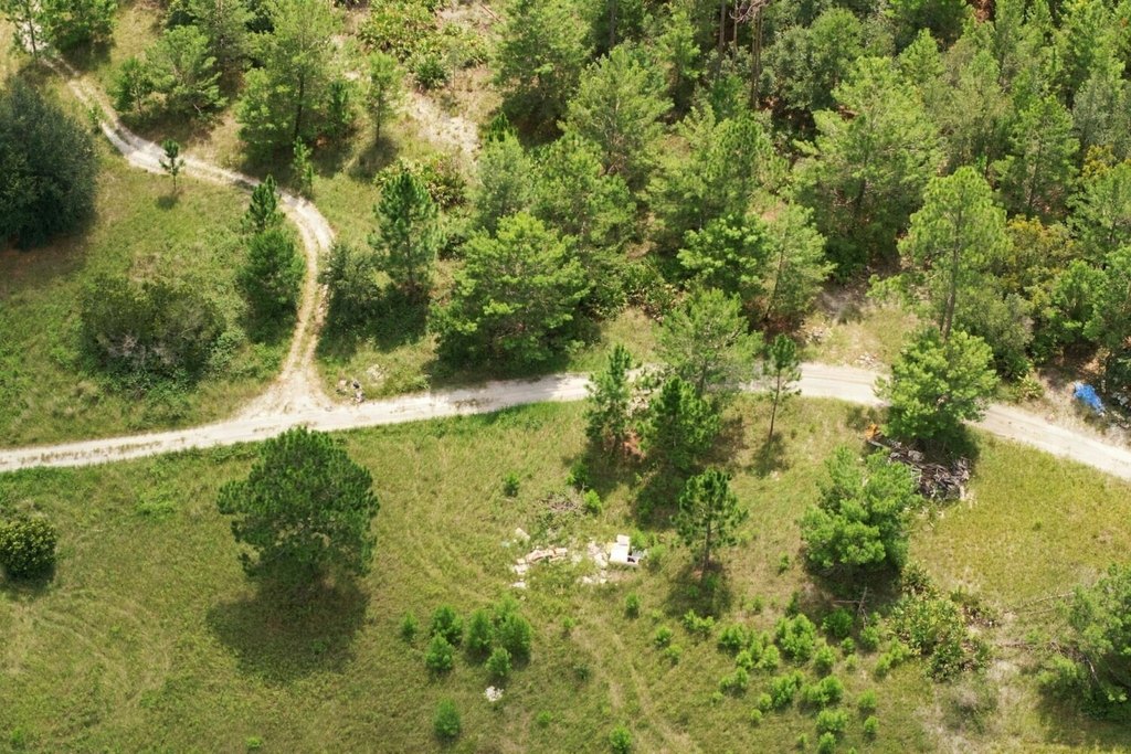 Picture 19
