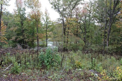 Lakeside Lot in Tomaro Oaks