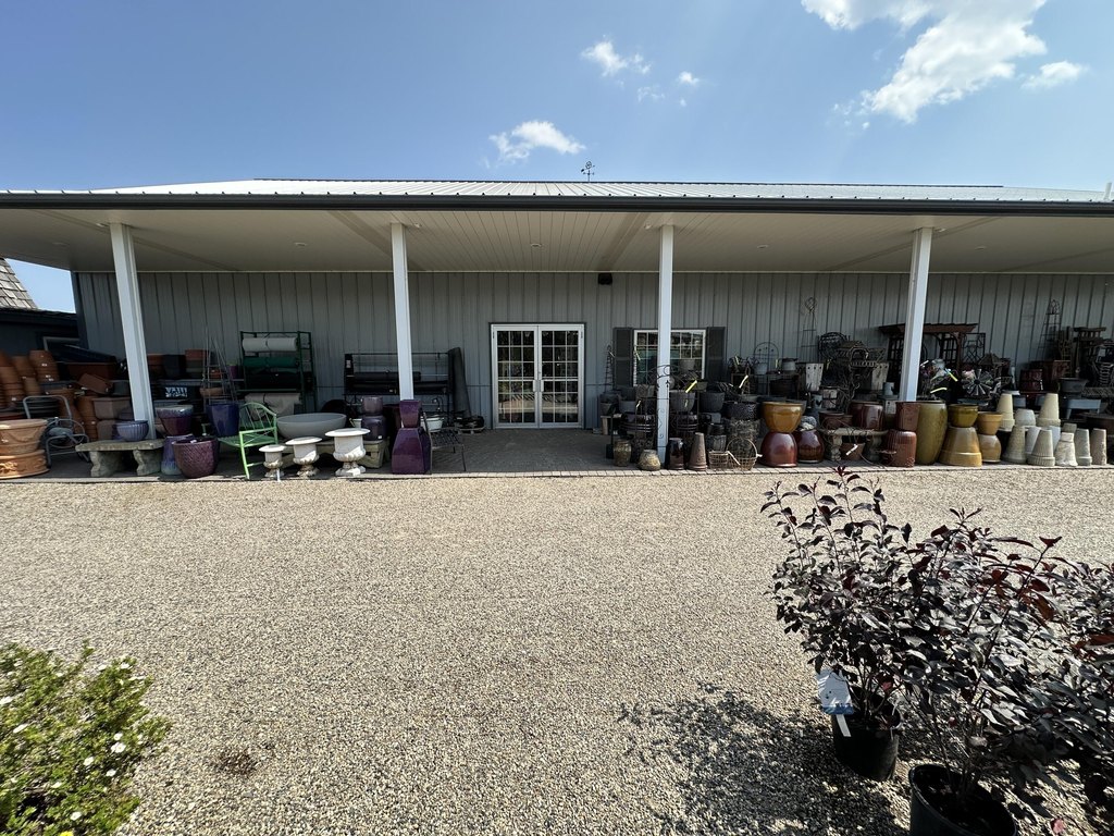 Picture 24