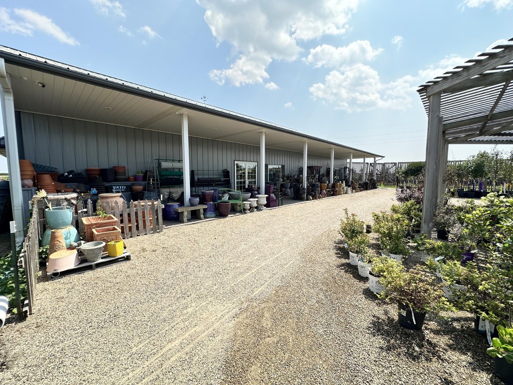 Picture 23